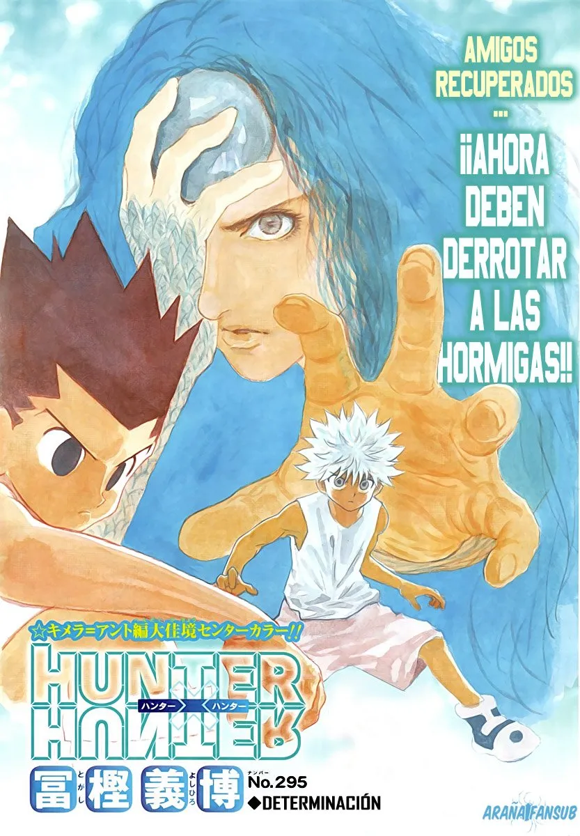 Hunter X Hunter Capítulo 295 en Línea - página 1