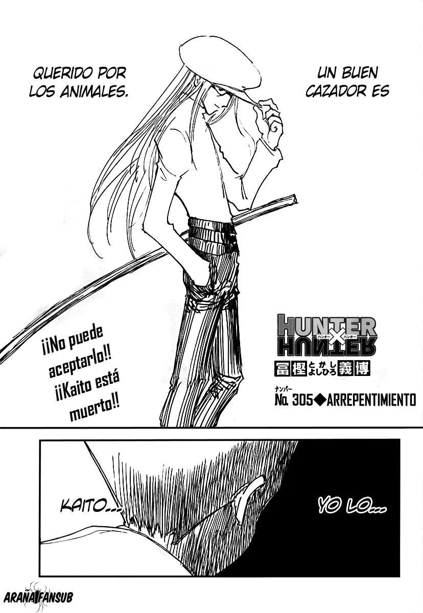 Hunter X Hunter Capítulo 305 en Línea - página 1