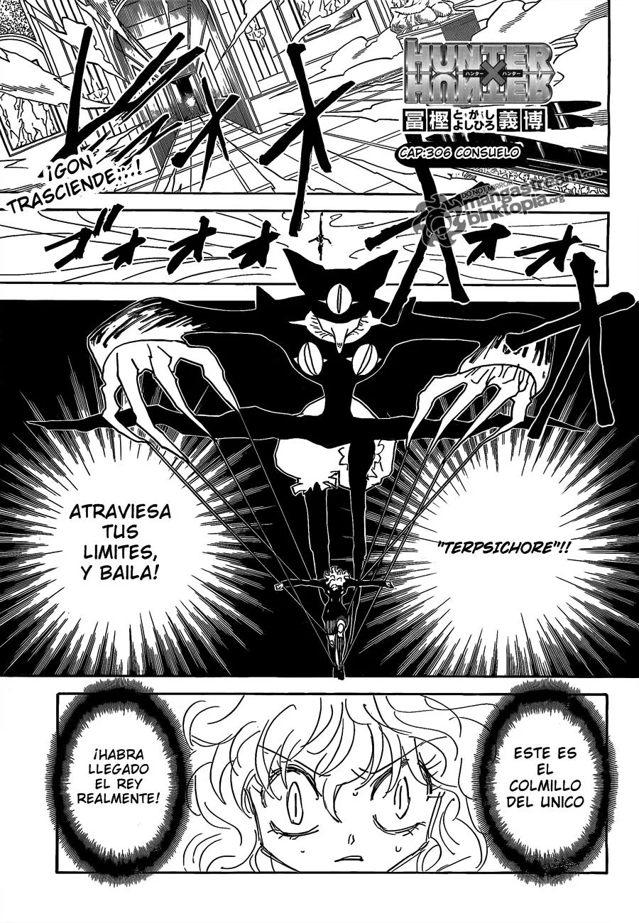 Hunter X Hunter Capítulo 306 en Línea - página 1