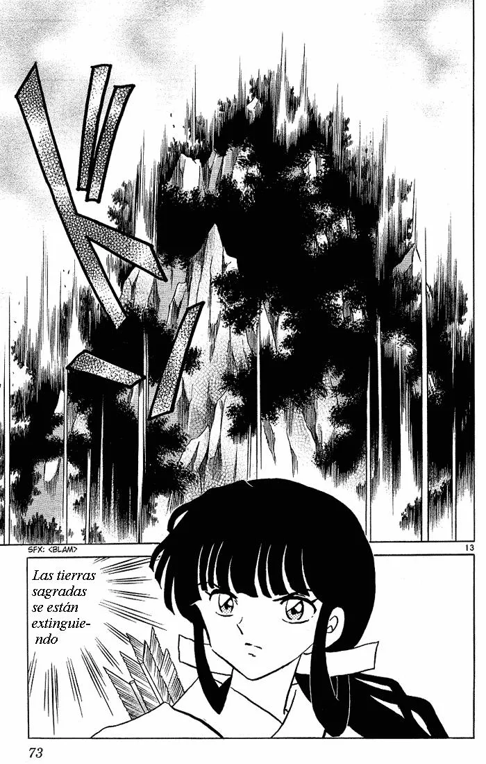 Inuyasha Capítulo 272 en Línea - página 13