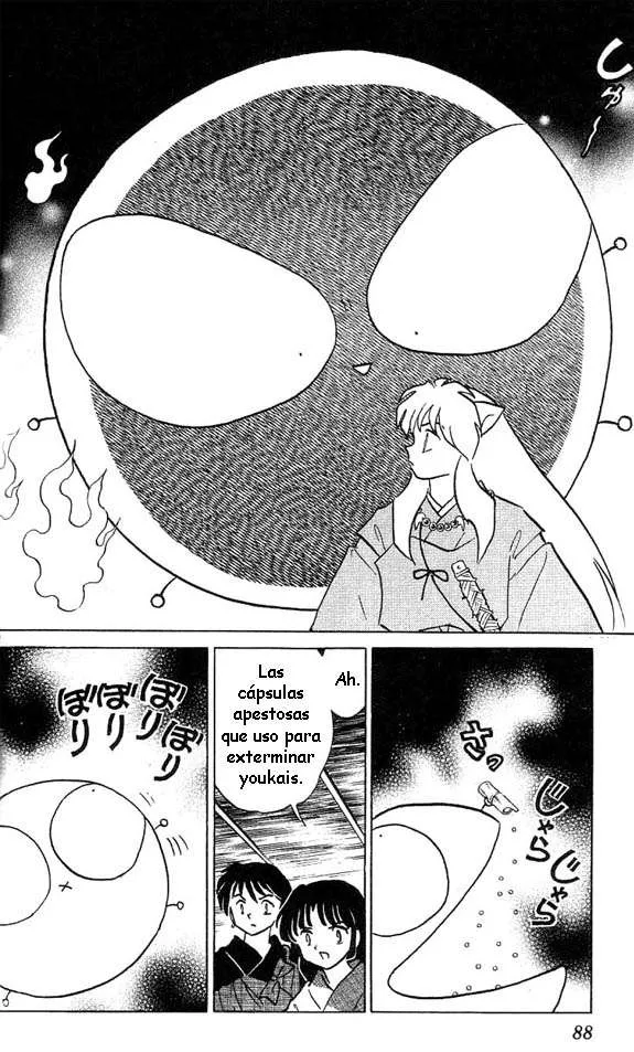 Inuyasha Capítulo 333 en Línea - página 12