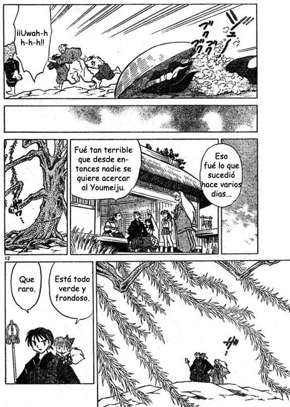 Inuyasha Capítulo 439 en Línea - página 12