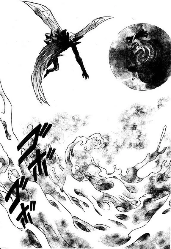 Inuyasha Capítulo 441 en Línea - página 13