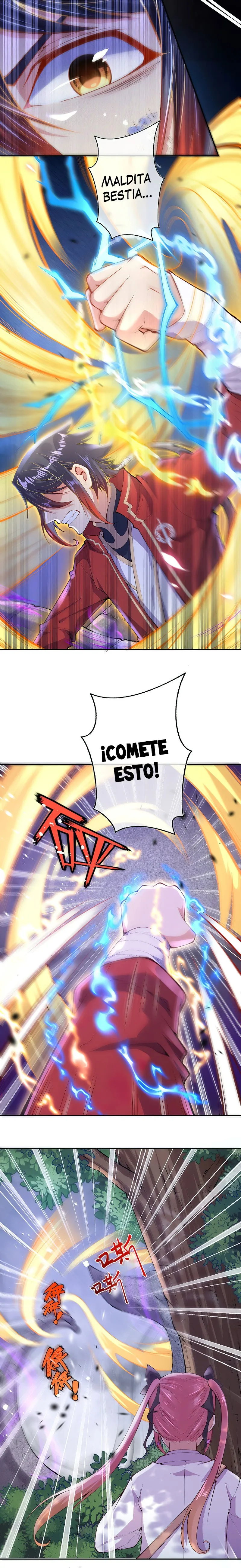 Invincible Sword Domain Capítulo 3 en Línea - página 10