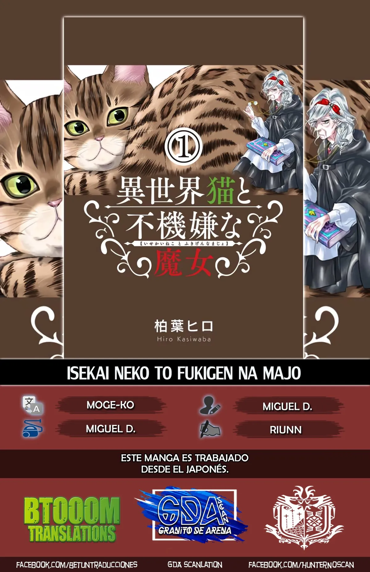 Isekai Neko to Fukigen na Majo Capítulo 5 en Línea - página 1