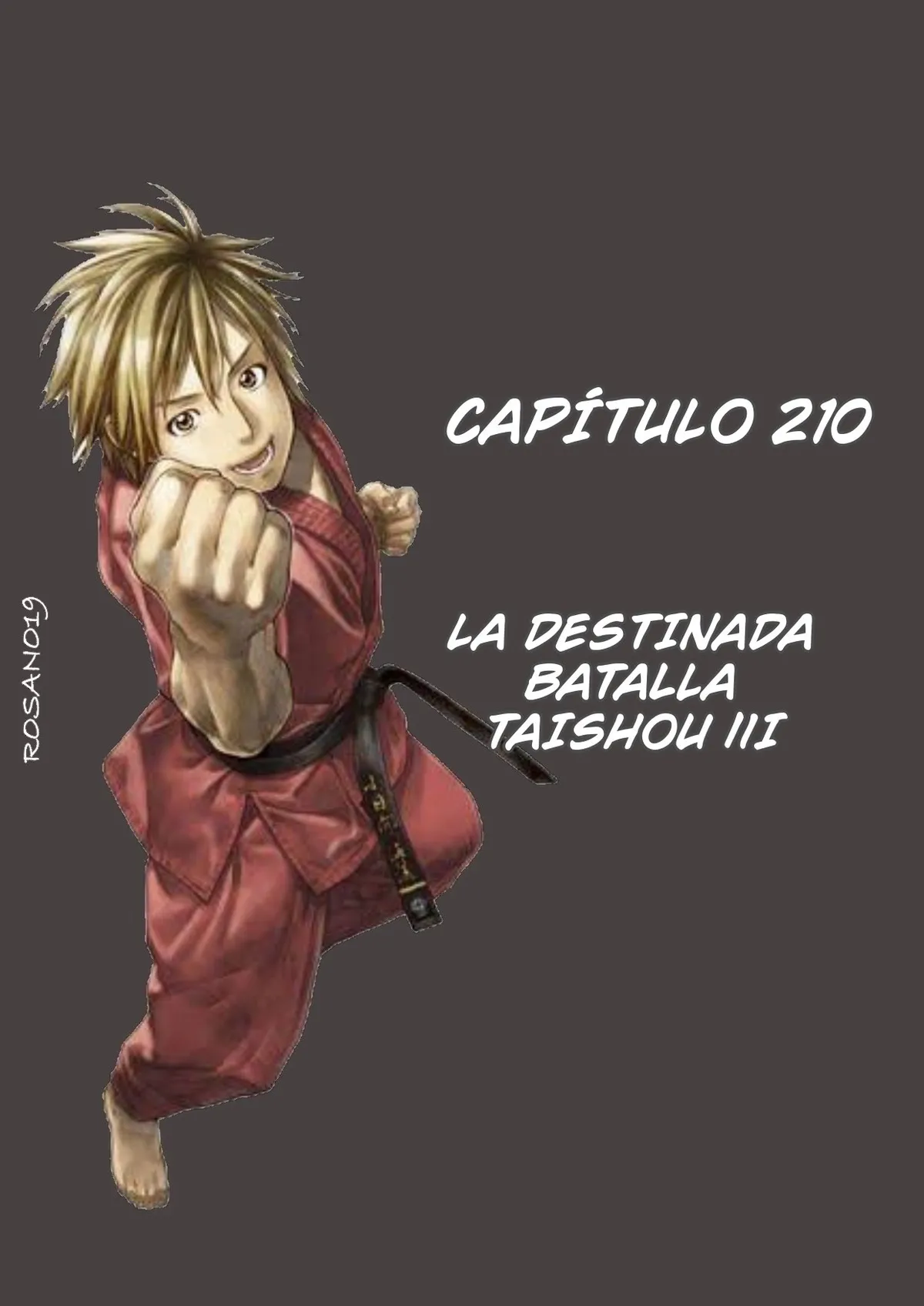 Karate Shoukoushi Kohinata Minoru Capítulo 210 en Línea - página 1