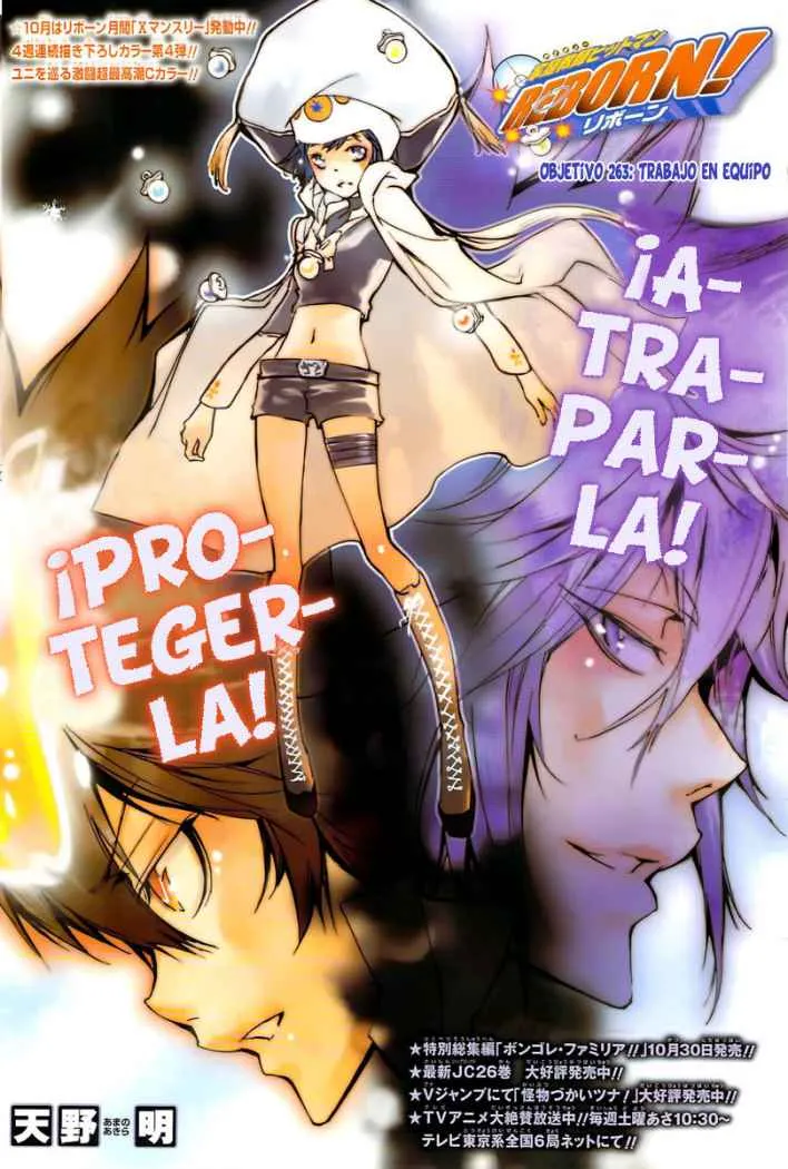 Katekyo Hitman Reborn! Capítulo 263 en Línea - página 1