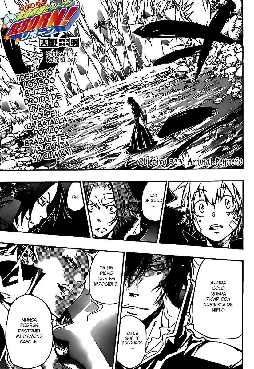 Katekyo Hitman Reborn! Capítulo 323 en Línea - página 1