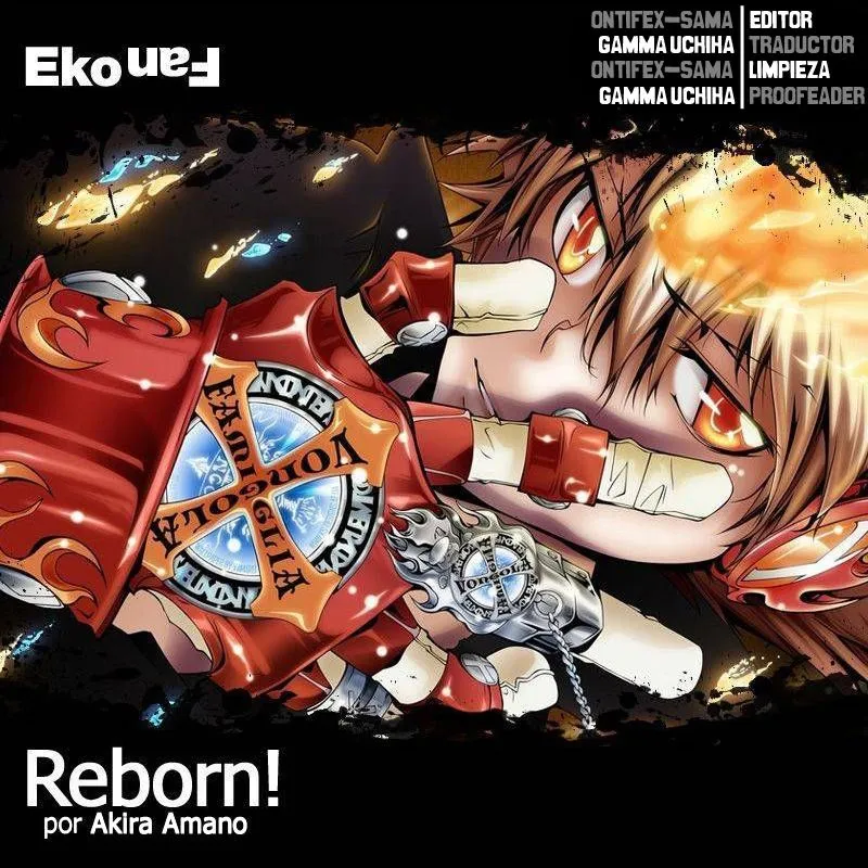 Katekyo Hitman Reborn! Capítulo 384 en Línea - página 1
