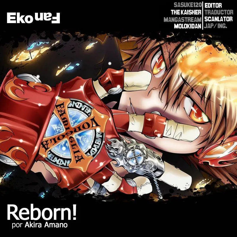 Katekyo Hitman Reborn! Capítulo 391 en Línea - página 1