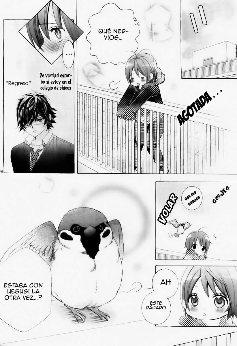 Kobayashi ga Kawai Sugite Tsurai!! Capítulo 31 en Línea - página 28