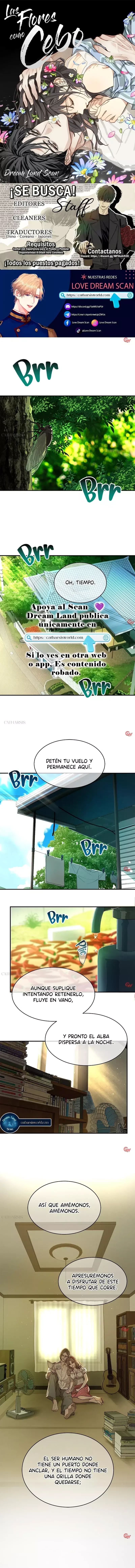 Las Flores Son Cebo Capítulo 33 en Línea - página 1