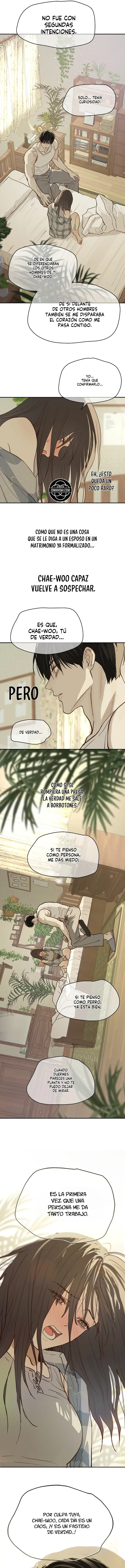 Las Flores Son Cebo Capítulo 52 en Línea - página 8