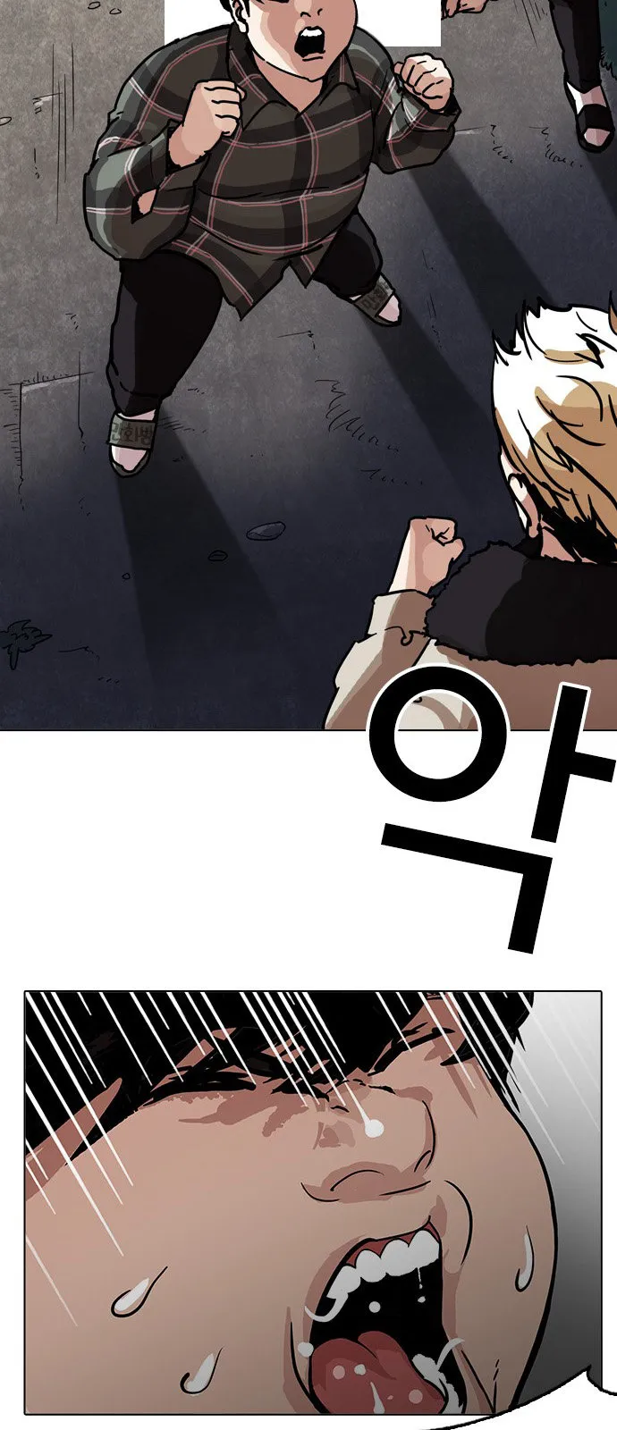 Lookism Capítulo 194 en Línea - página 17