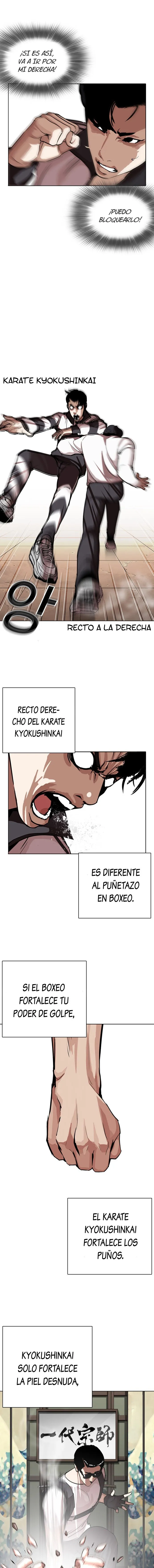 Lookism Capítulo 271 en Línea - página 15
