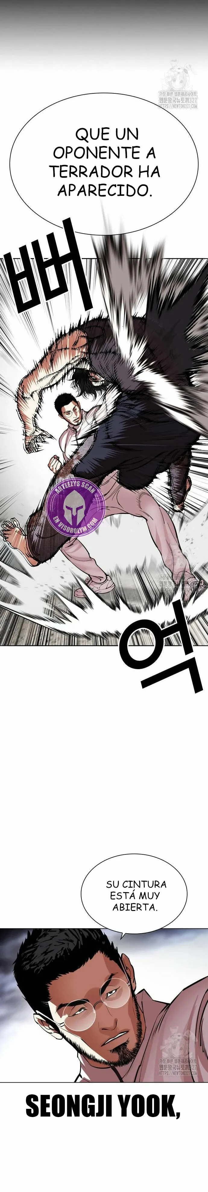Lookism Capítulo 490 en Línea - página 24