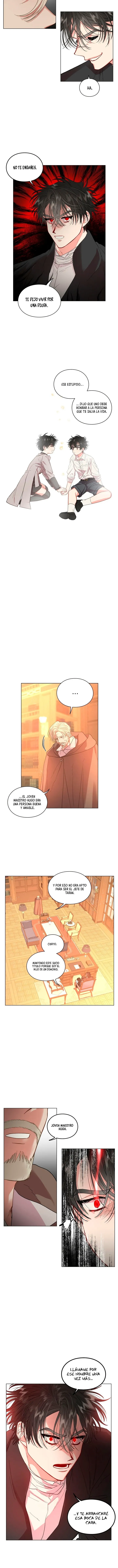 Luci Capítulo 41 en Línea - página 11