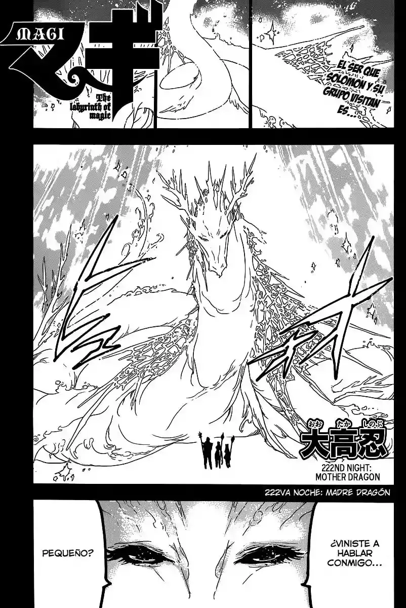 Magi: The Labyrinth of Magic Capítulo 222 en Línea - página 1