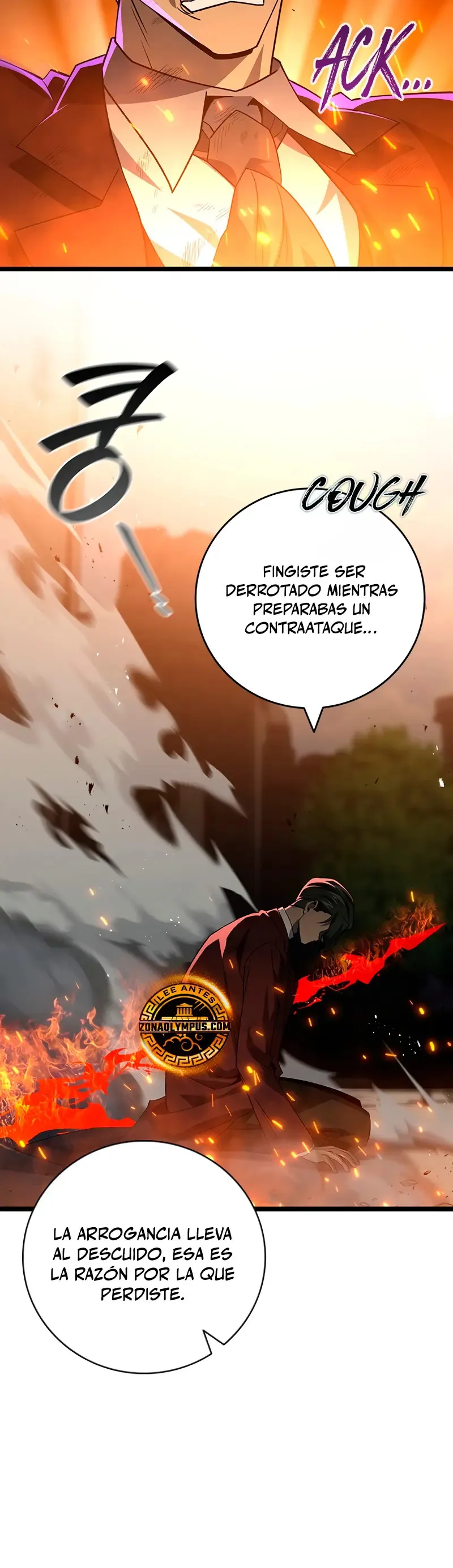 Mago devorador de dragones Capítulo 95 en Línea - página 10