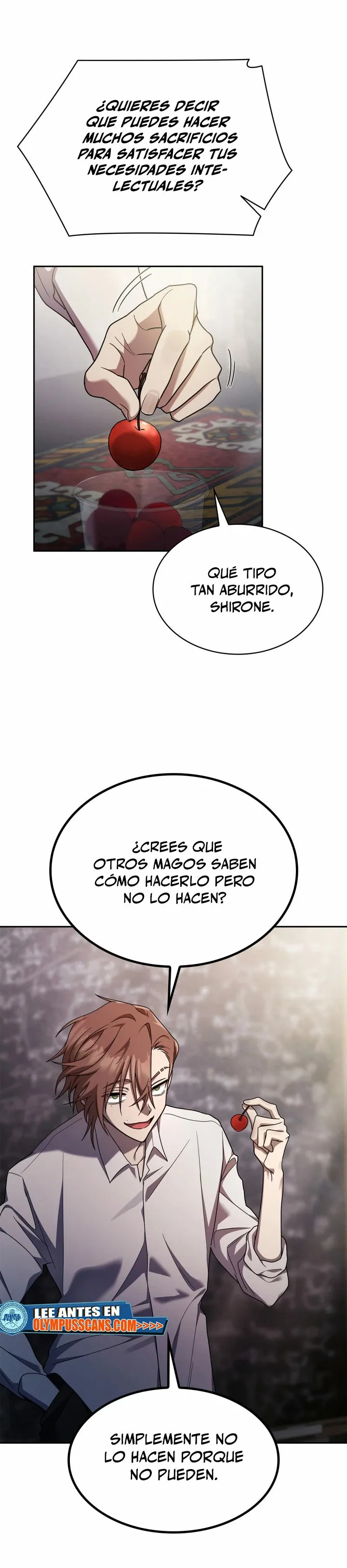 Mago Infinito Capítulo 42 en Línea - página 14