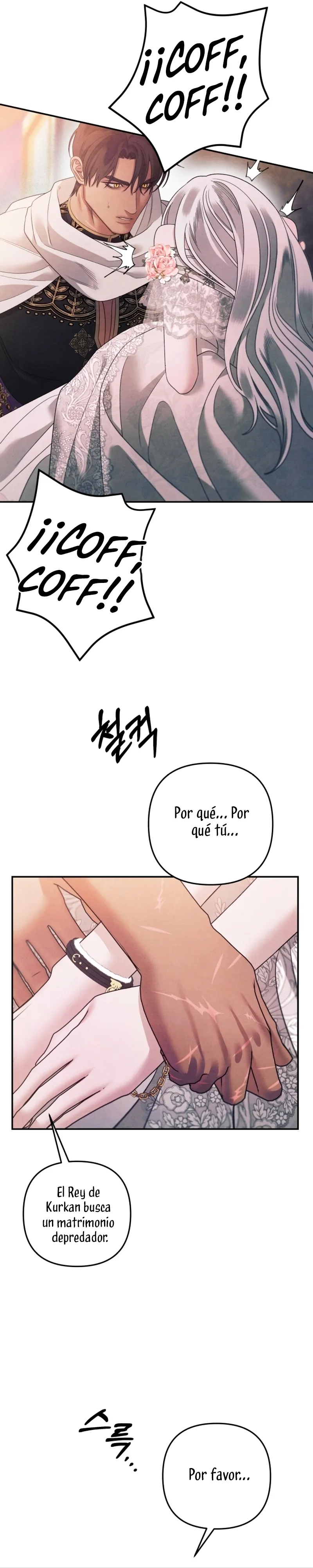 MATRIMONIO DEPREDADOR Capítulo 53 en Línea - página 15
