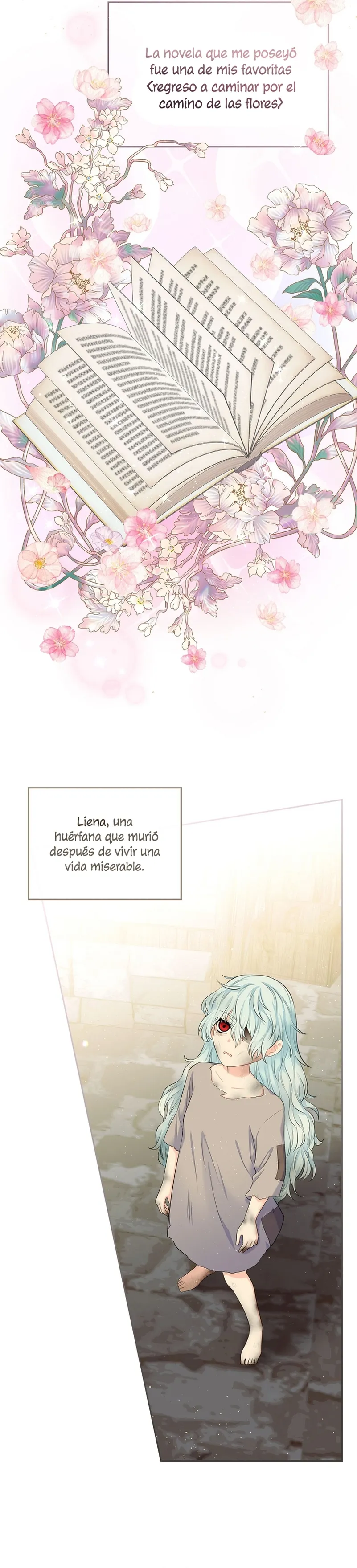 Me divorciaré del hermano Siscon de la protagonista femenina Capítulo 1 en Línea - página 15