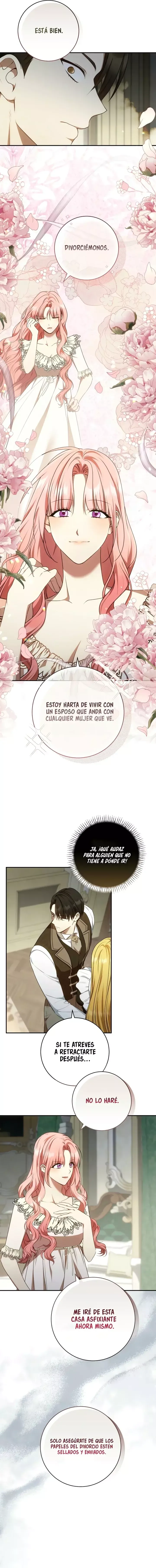 Mi marido fue robado dos veces Capítulo 15 en Línea - página 13