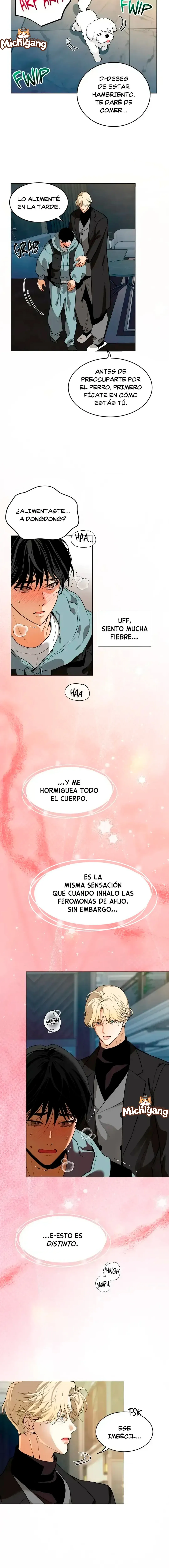 Mi prometido es un tomate Capítulo 20 en Línea - página 5