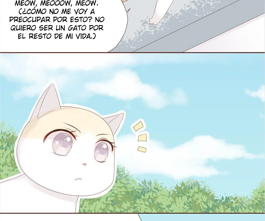 Mi Propio Amor Sólo Me Pertenece A Mí Capítulo 18 en Línea - página 13
