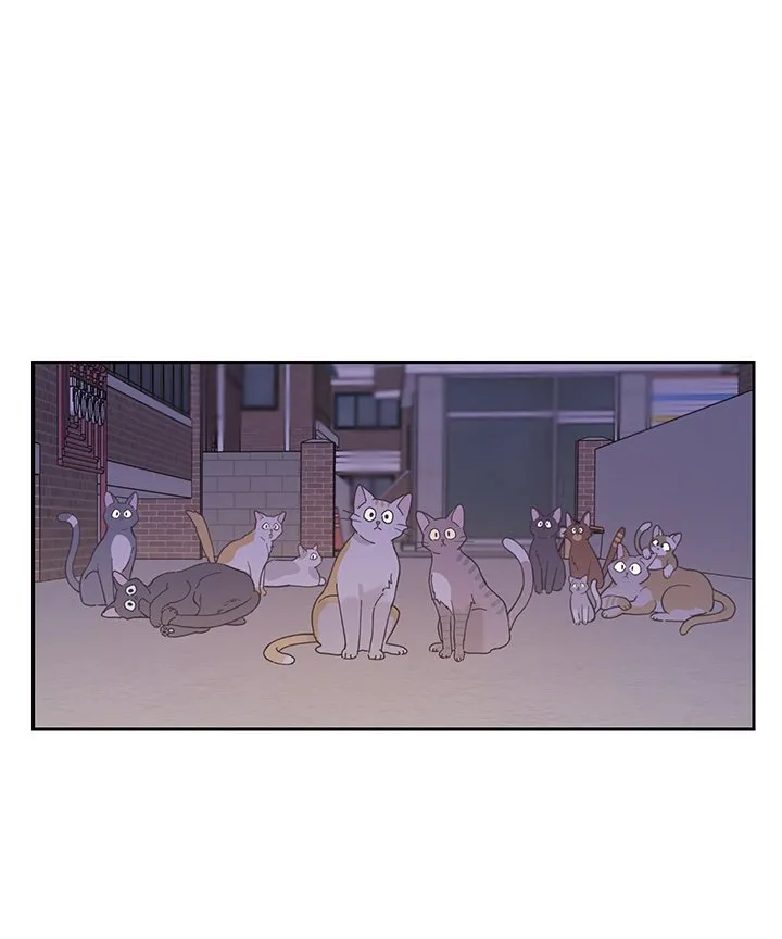 Mi único gato Capítulo 1 en Línea - página 6