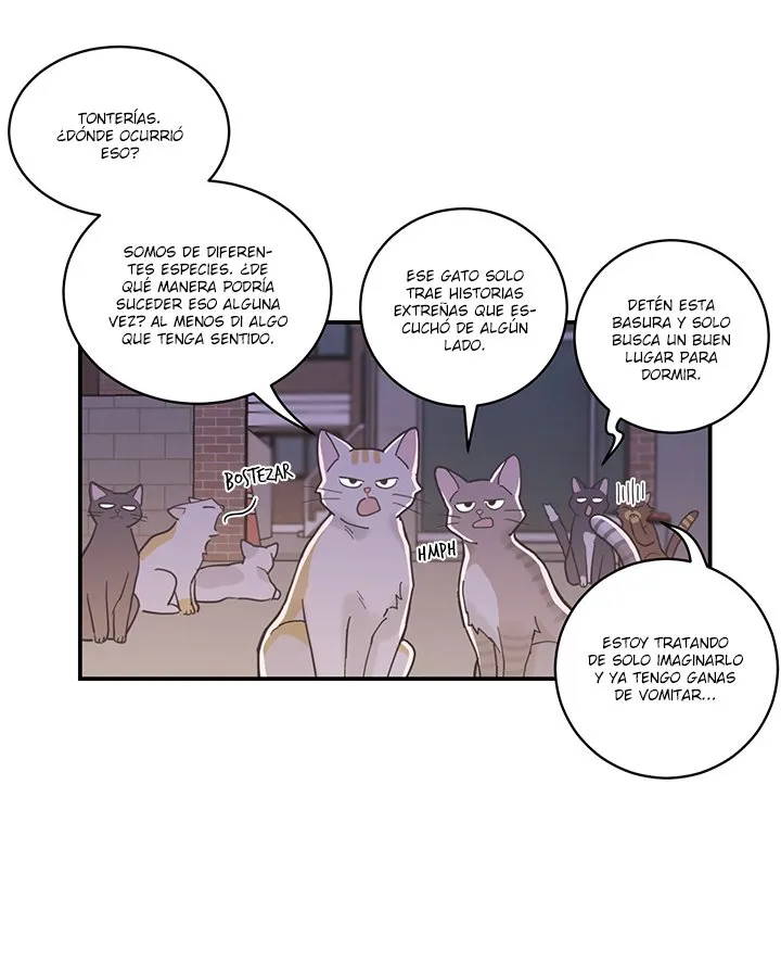 Mi único gato Capítulo 1 en Línea - página 7