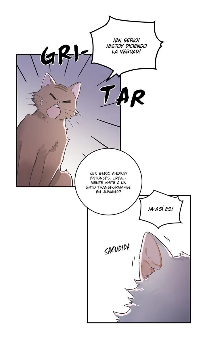 Mi único gato Capítulo 1 en Línea - página 8