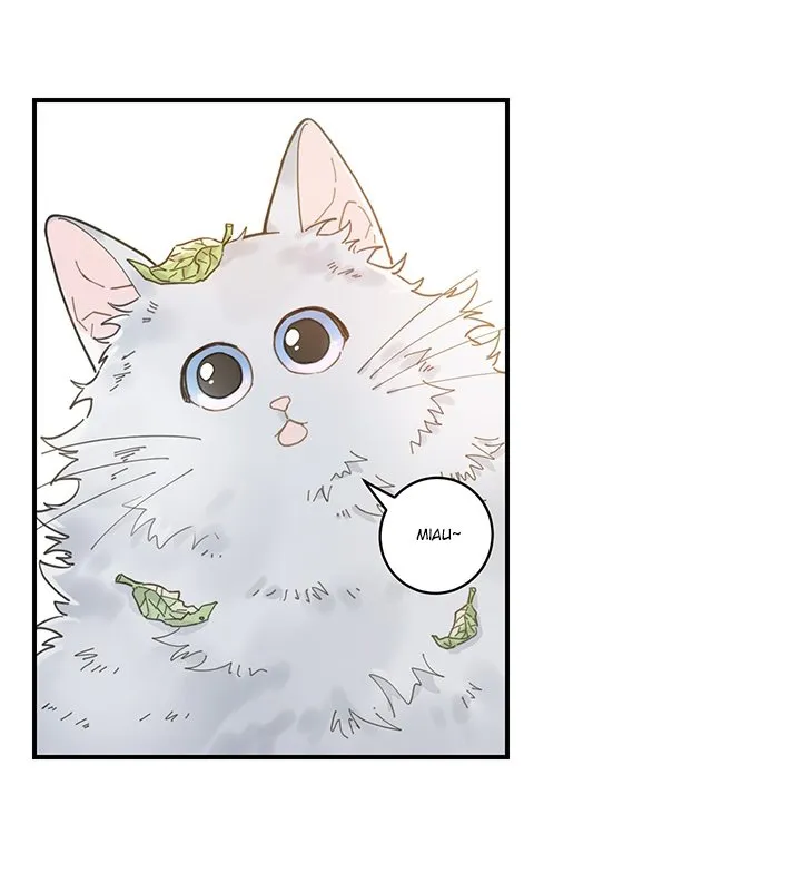 Mi único gato Capítulo 1 en Línea - página 33