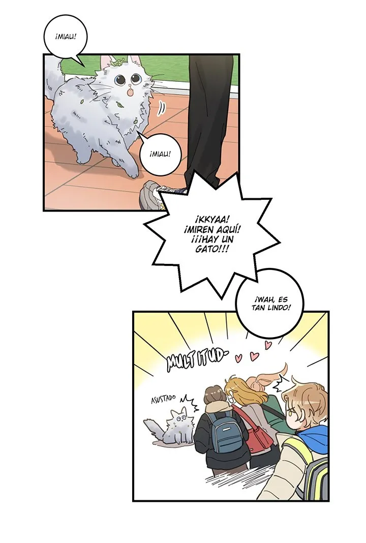Mi único gato Capítulo 1 en Línea - página 34