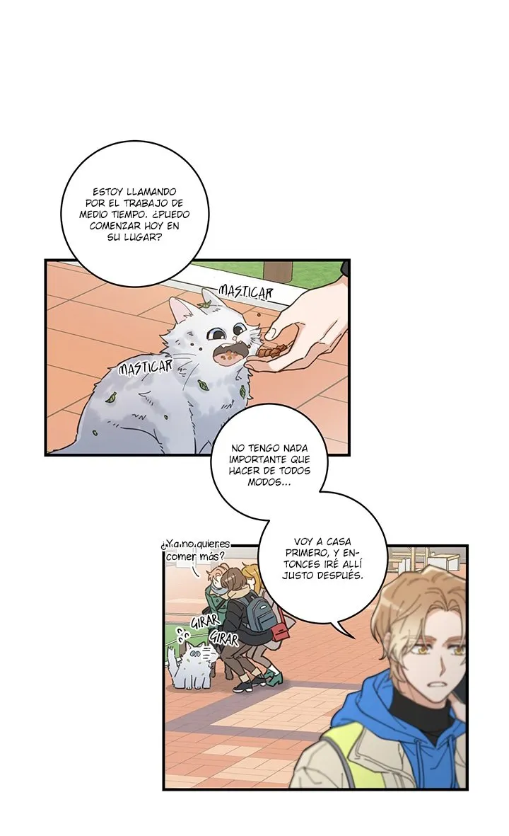 Mi único gato Capítulo 1 en Línea - página 37