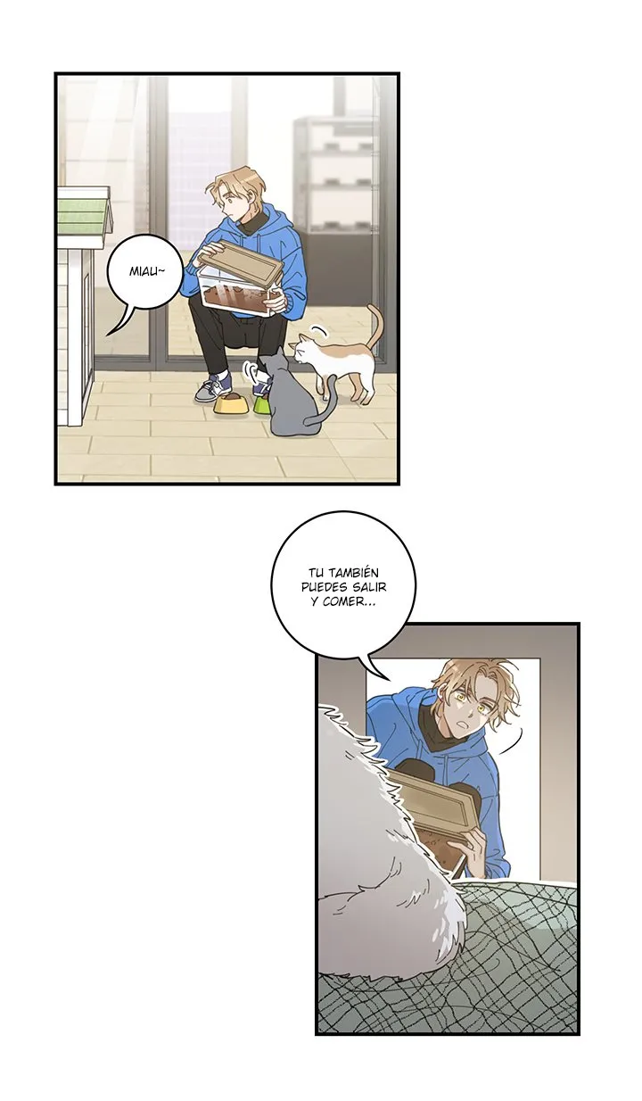 Mi único gato Capítulo 1 en Línea - página 43