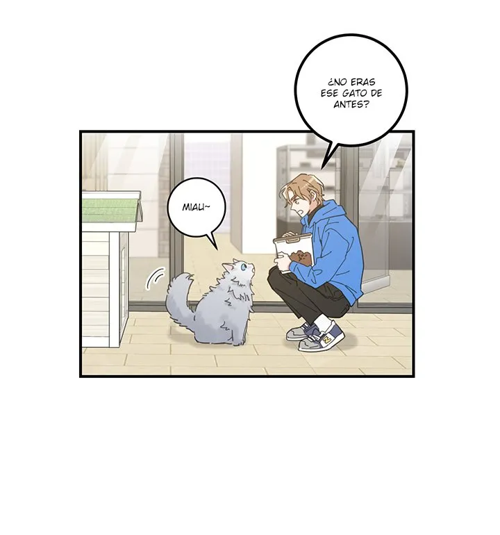 Mi único gato Capítulo 1 en Línea - página 45