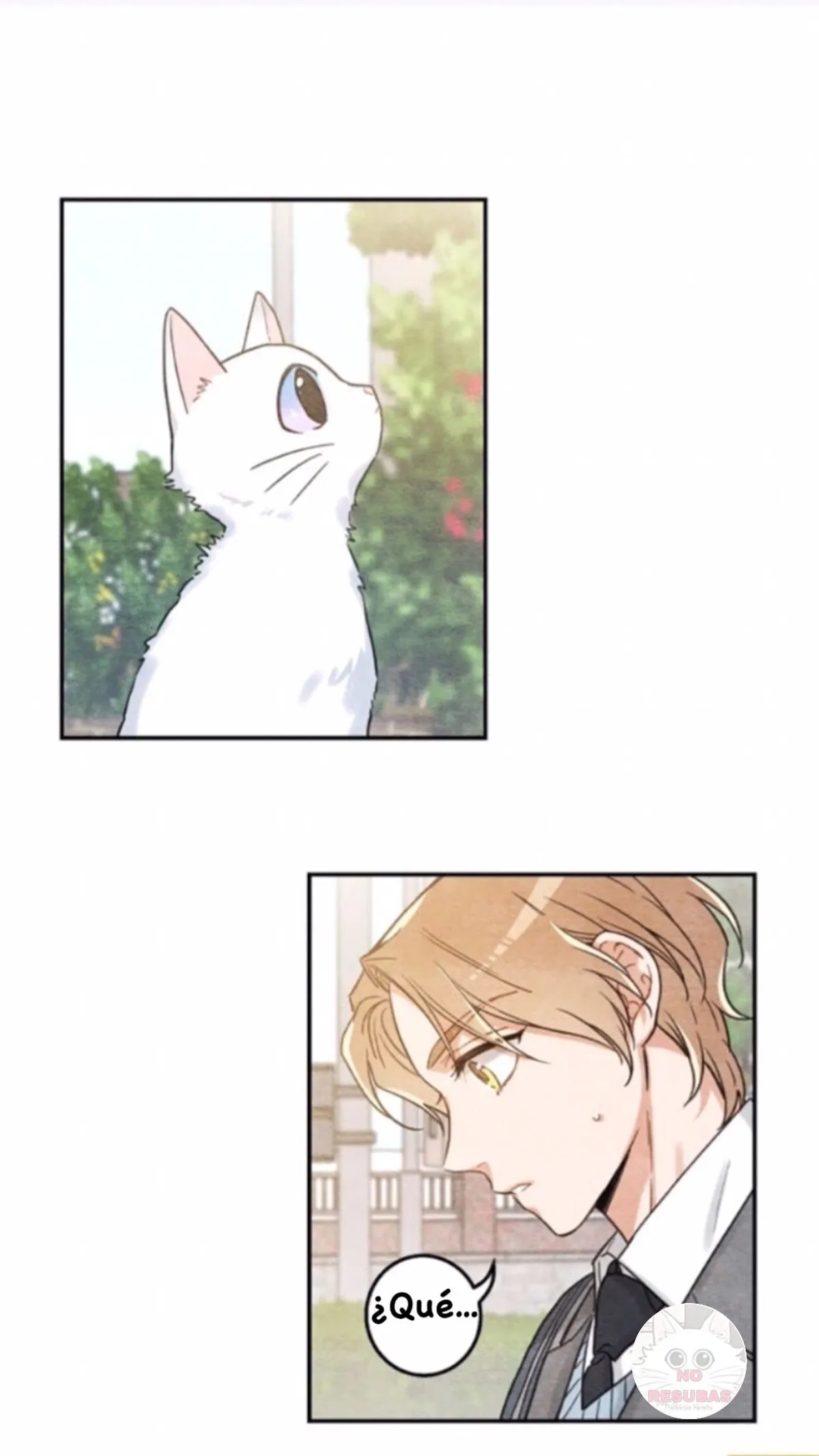 Mi único gato Capítulo 10 en Línea - página 12