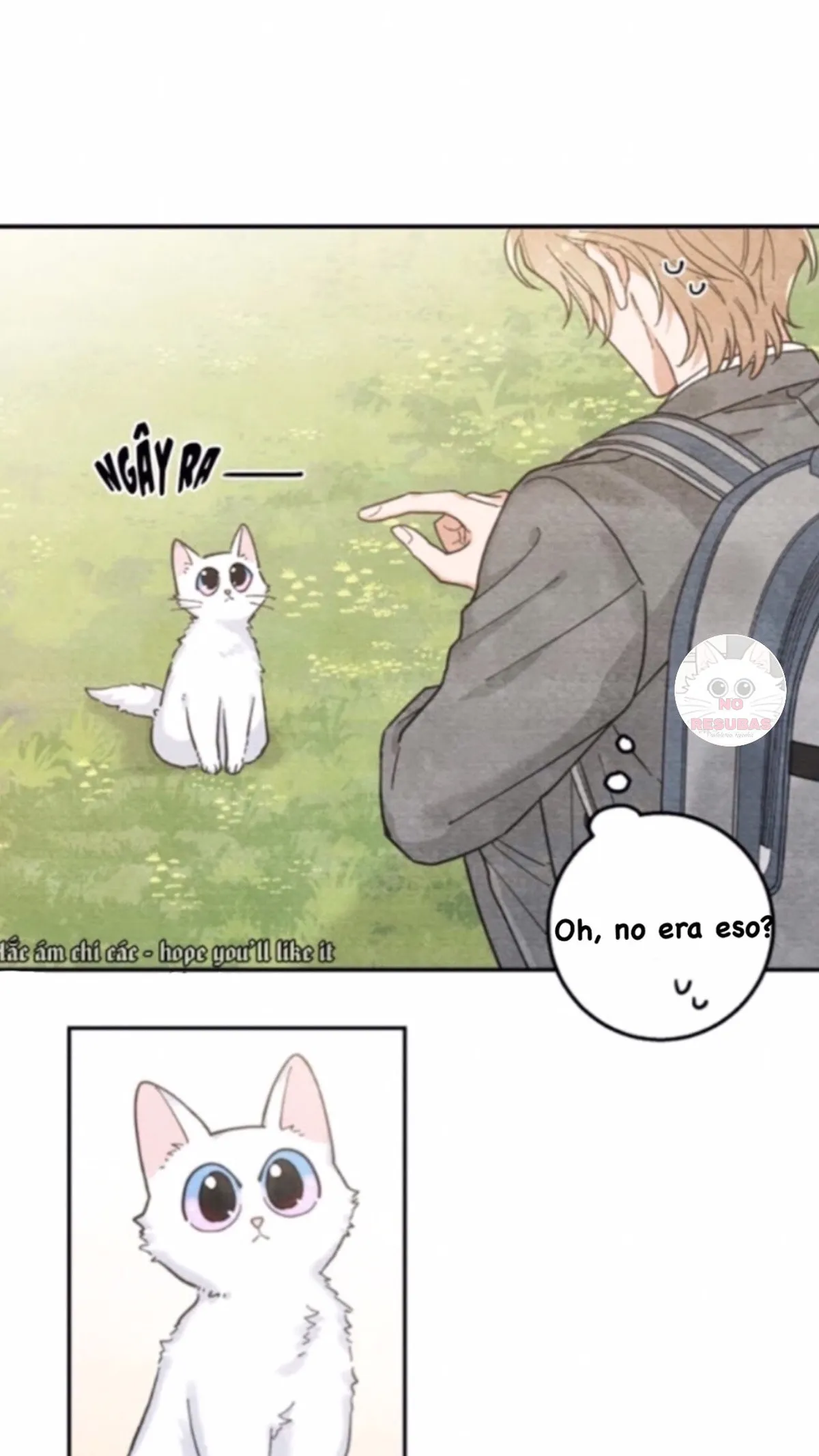 Mi único gato Capítulo 10 en Línea - página 15