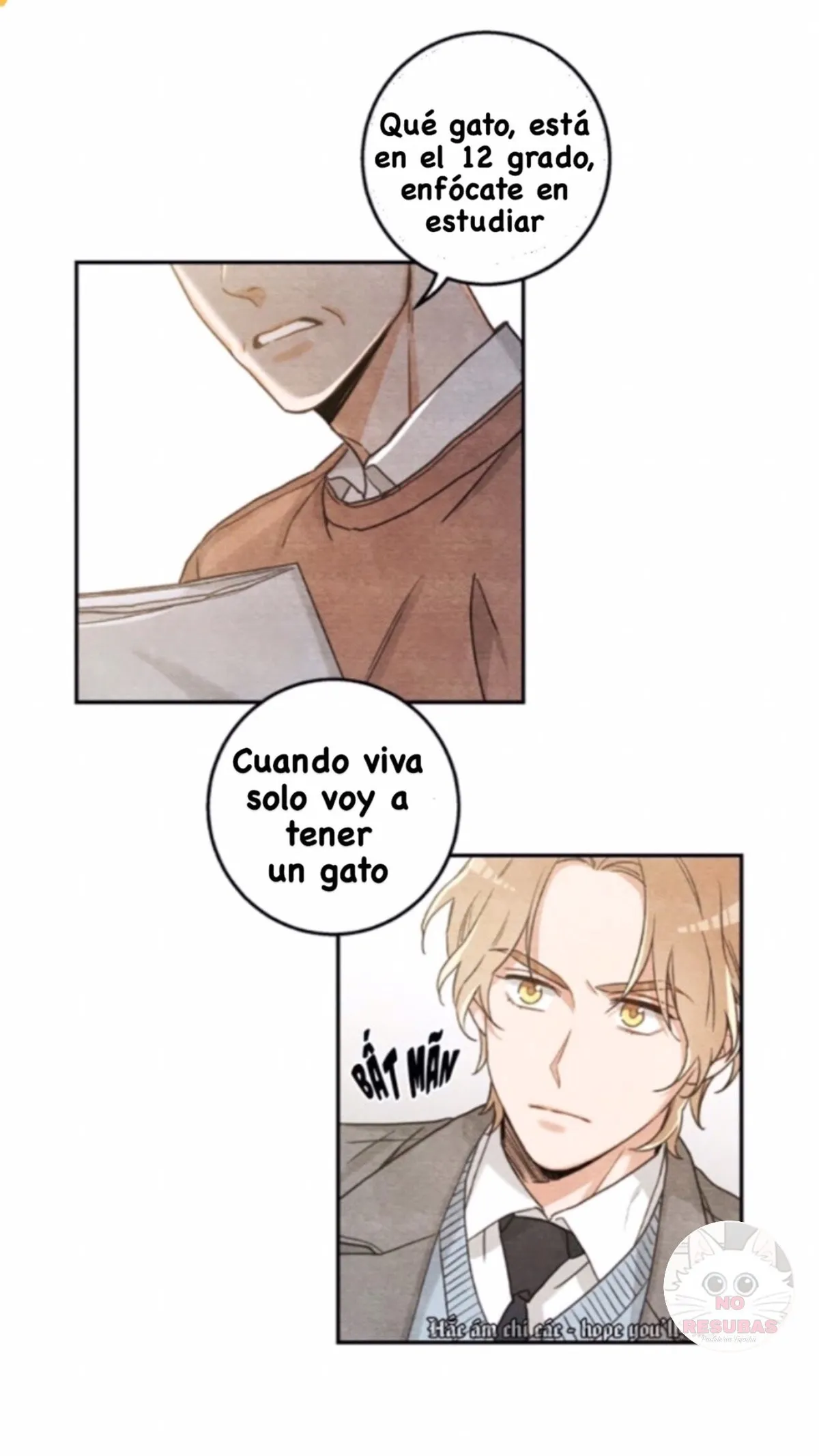Mi único gato Capítulo 10 en Línea - página 23
