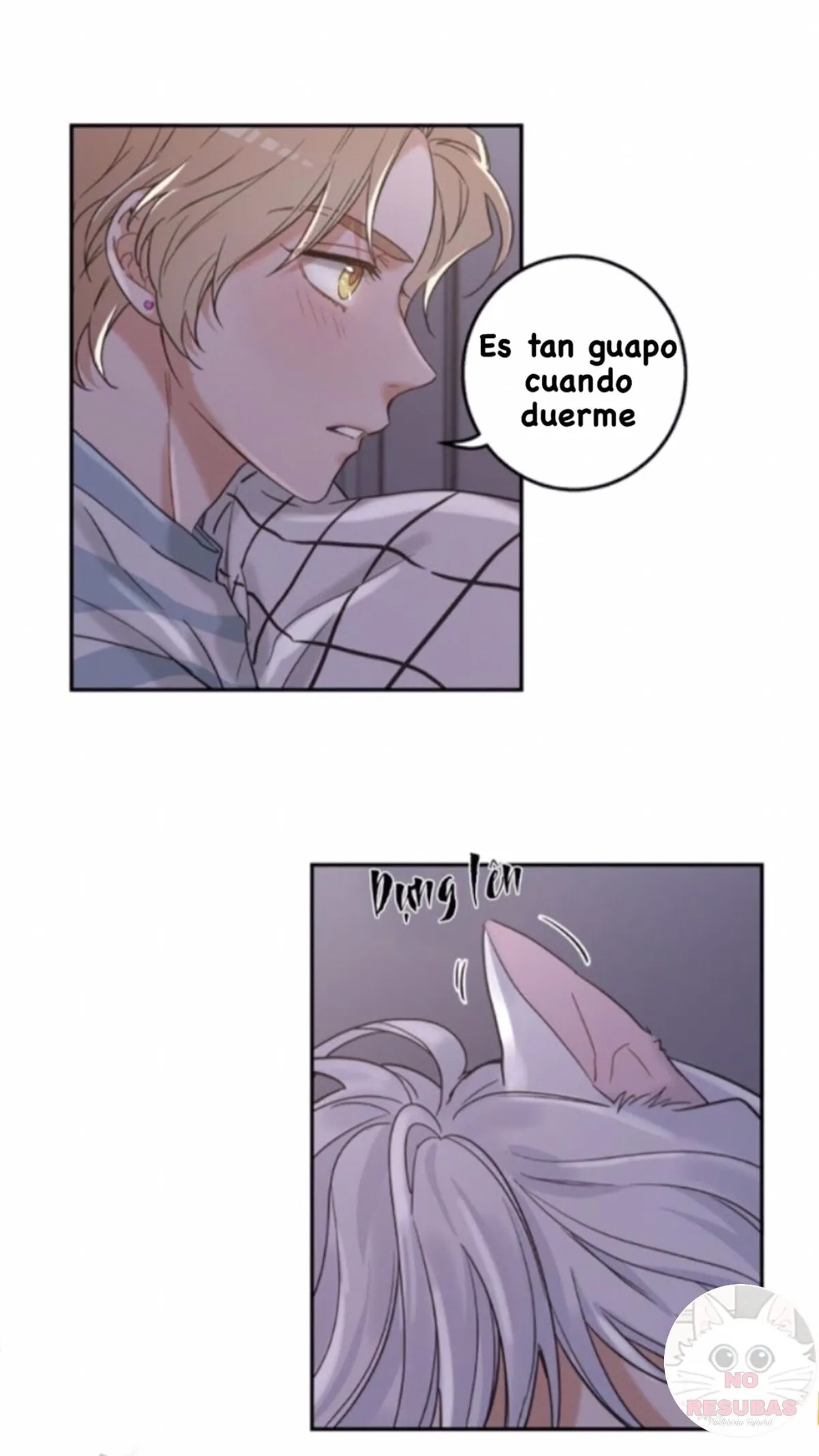 Mi único gato Capítulo 10 en Línea - página 39
