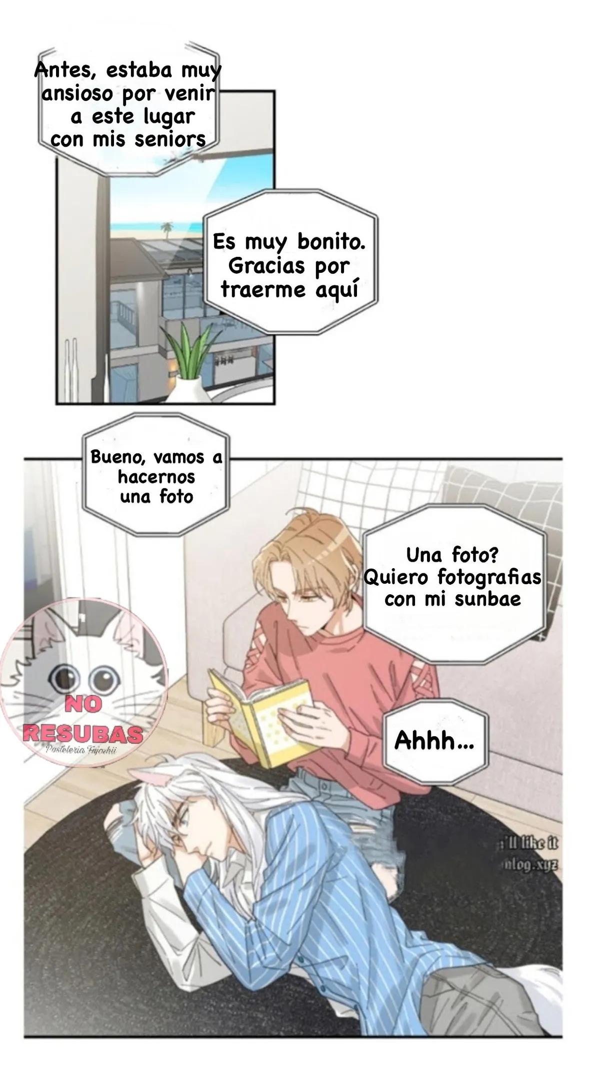 Mi único gato Capítulo 11 en Línea - página 10