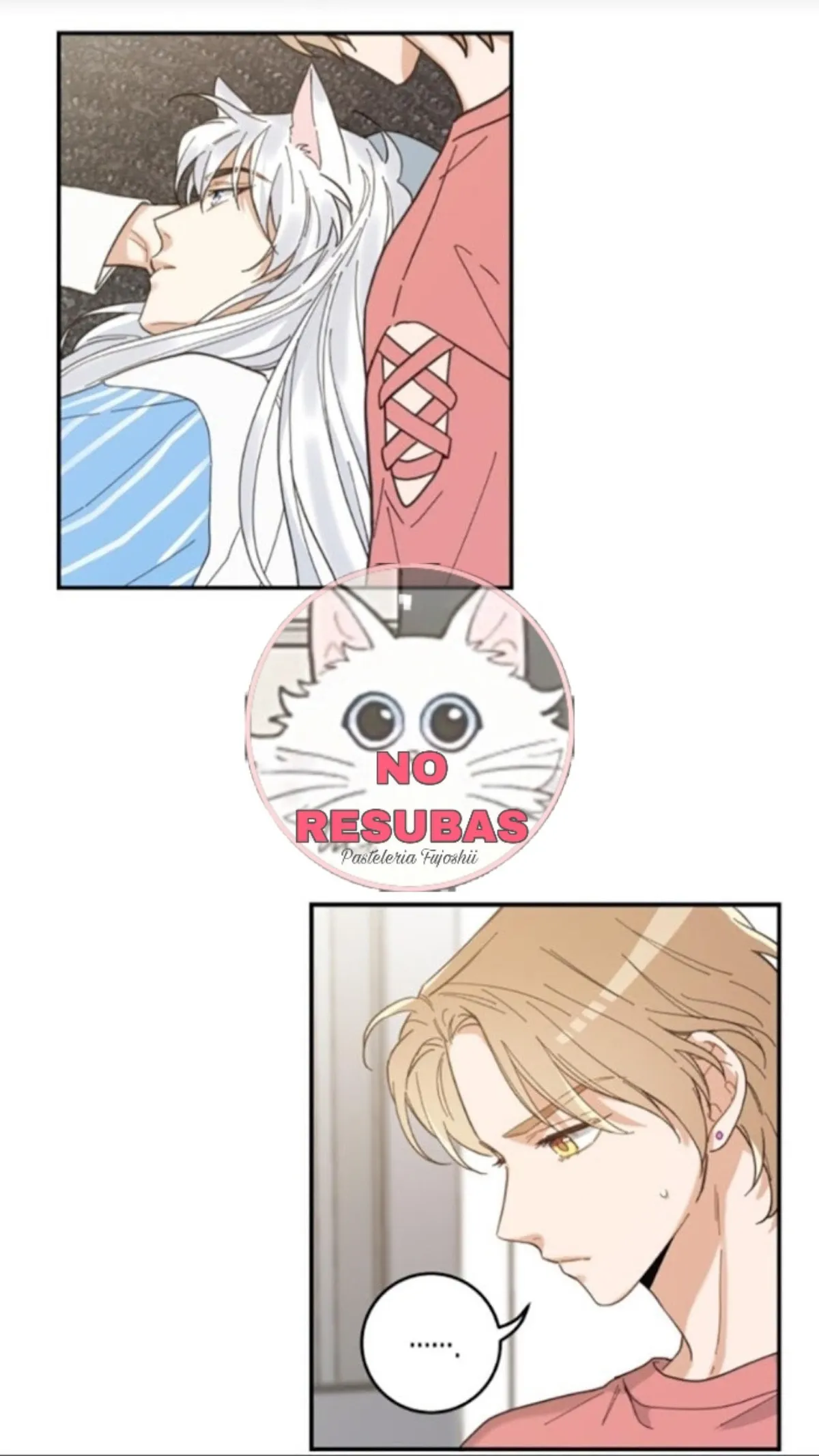 Mi único gato Capítulo 11 en Línea - página 11