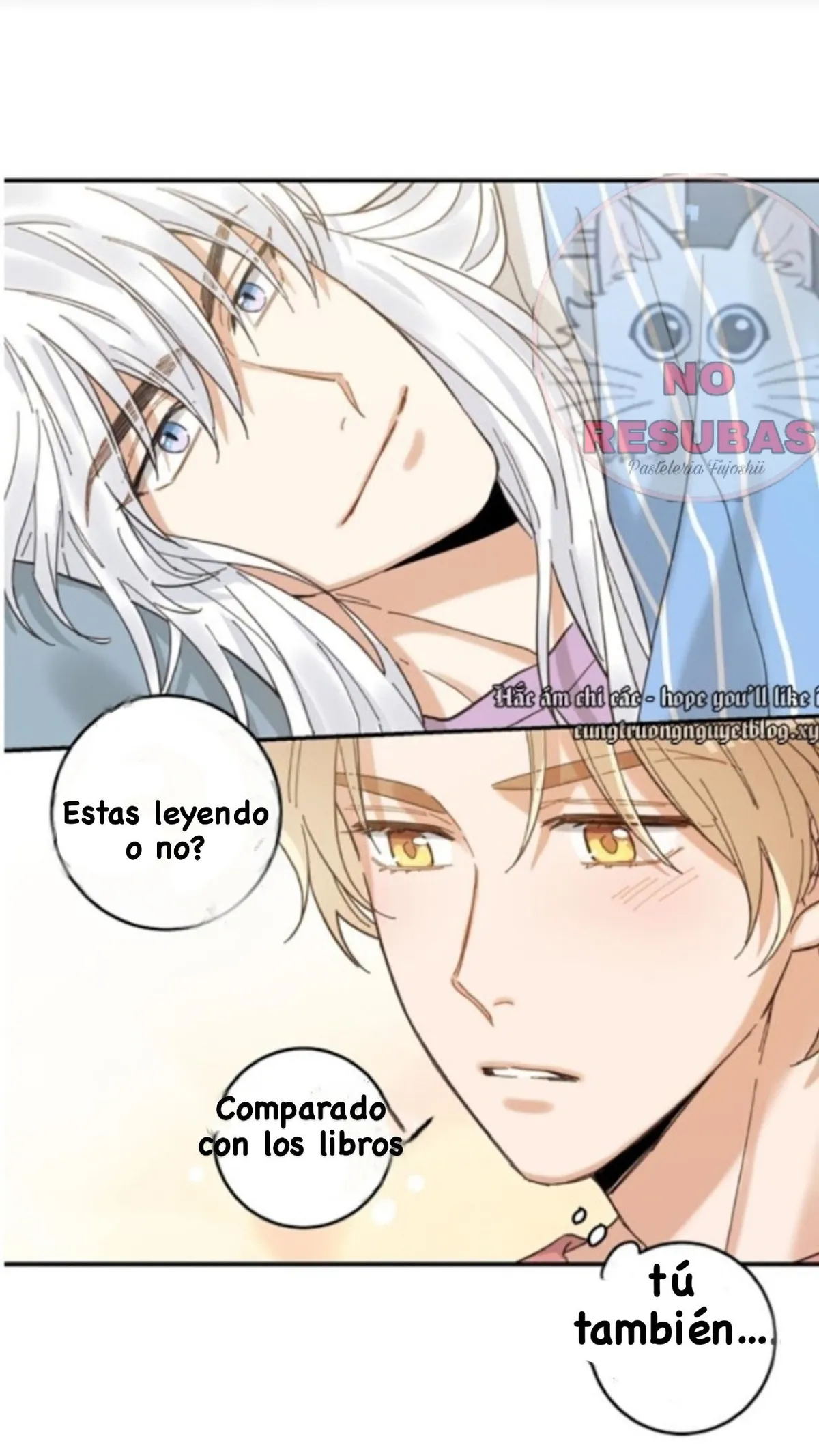 Mi único gato Capítulo 11 en Línea - página 14