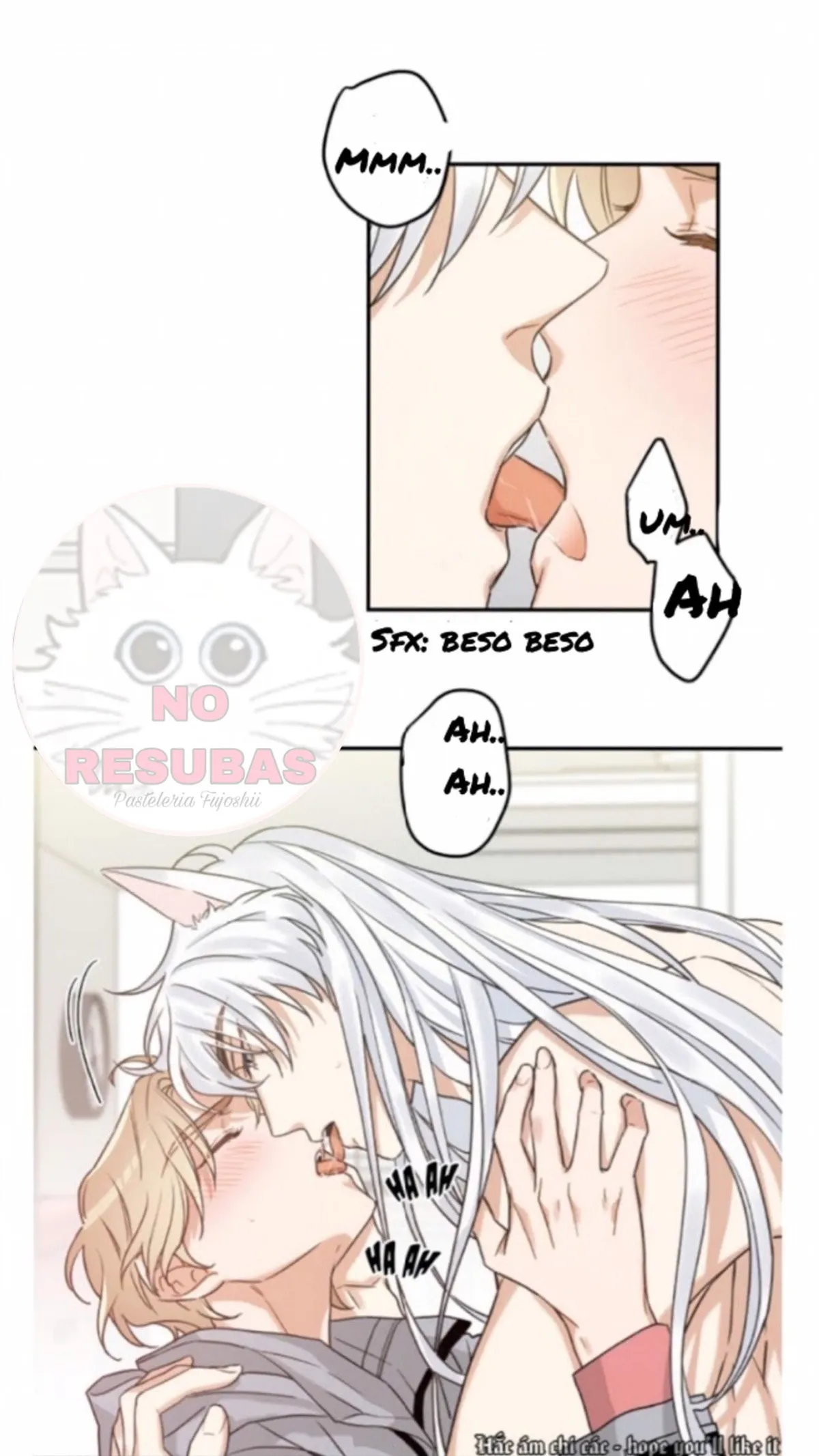 Mi único gato Capítulo 12 en Línea - página 8