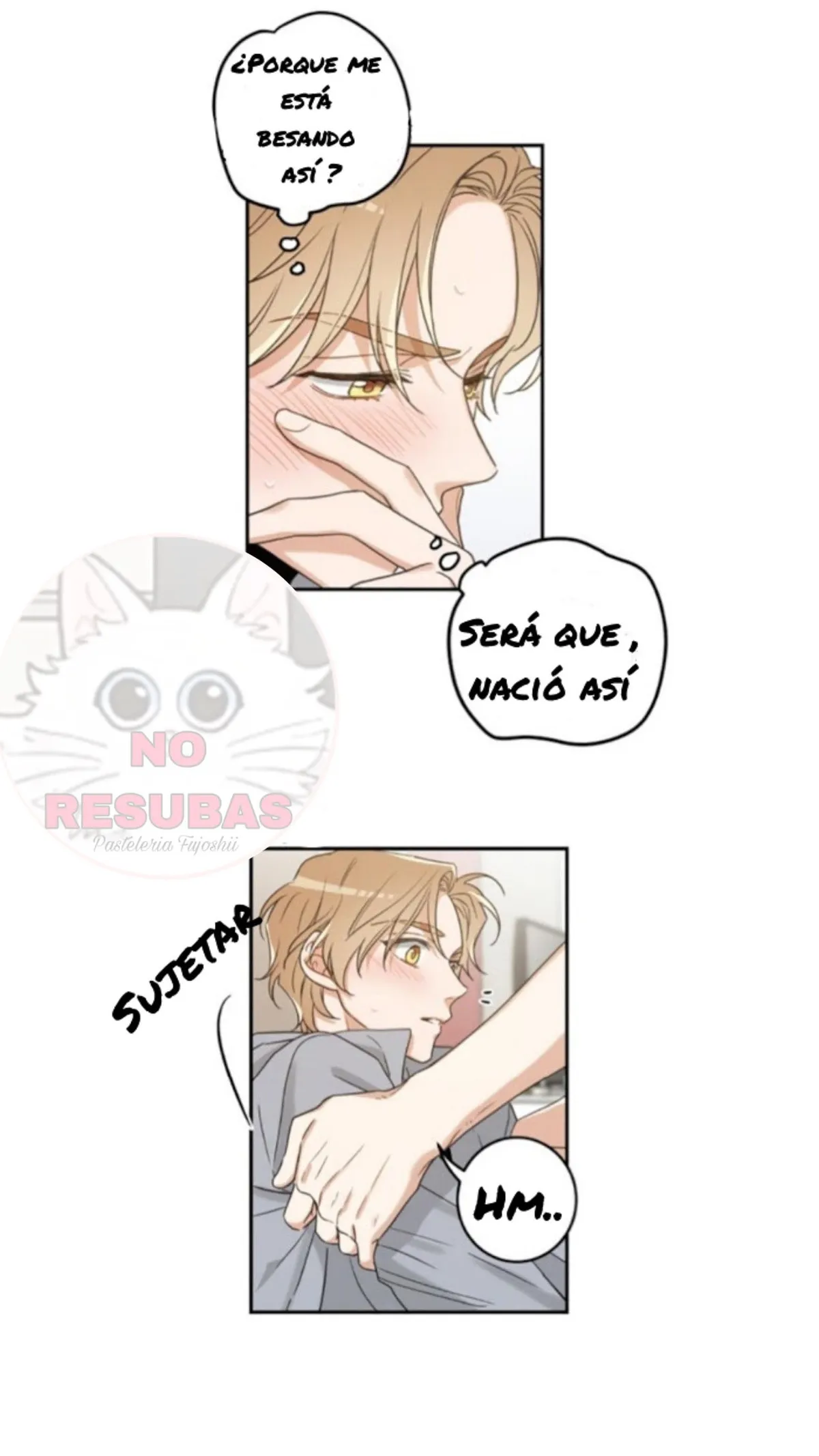 Mi único gato Capítulo 12 en Línea - página 12