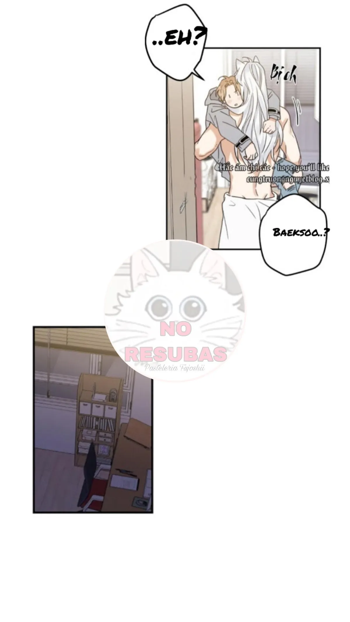 Mi único gato Capítulo 12 en Línea - página 13
