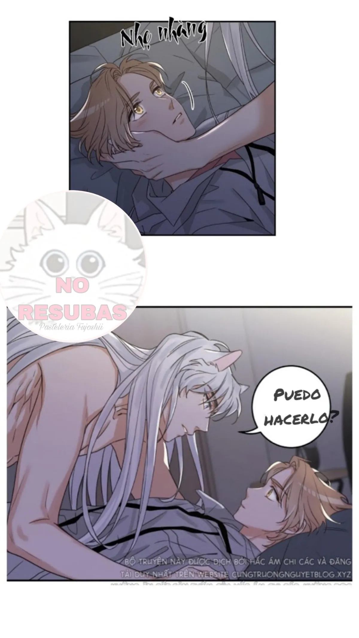 Mi único gato Capítulo 12 en Línea - página 14