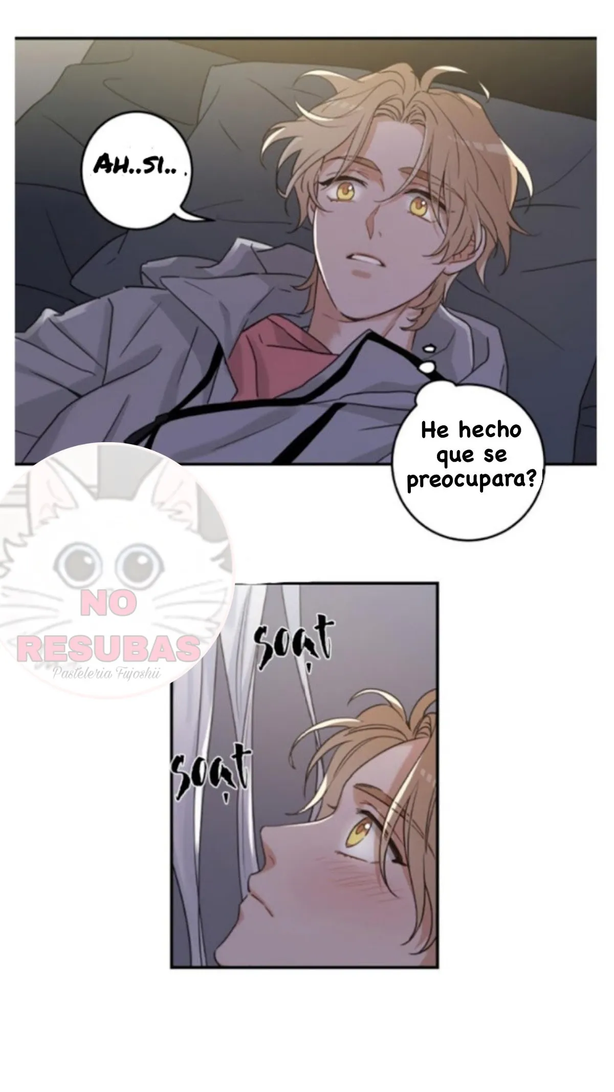 Mi único gato Capítulo 12 en Línea - página 15