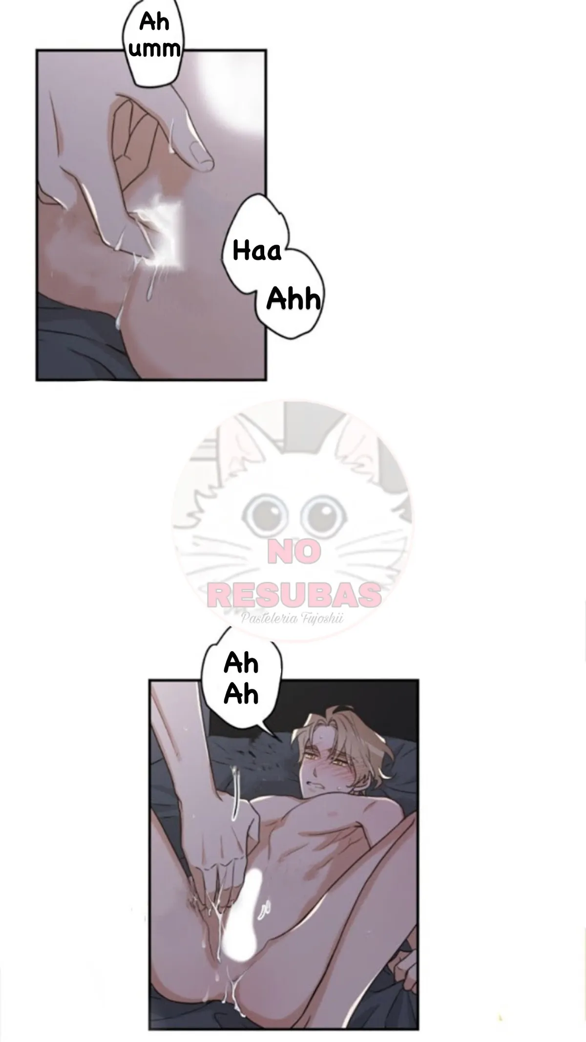 Mi único gato Capítulo 12 en Línea - página 28